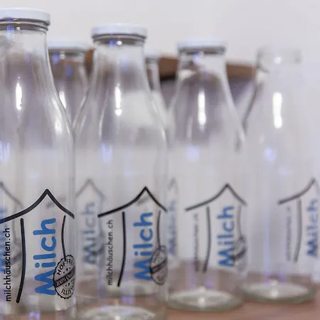 Hotel Alpenblick - Kind Of A Bern