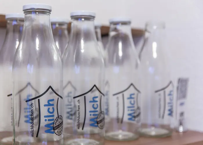 Hotel Alpenblick - Kind Of A Bern